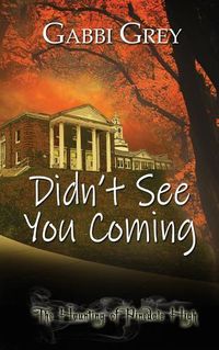 Cover image for Didn't See You Coming