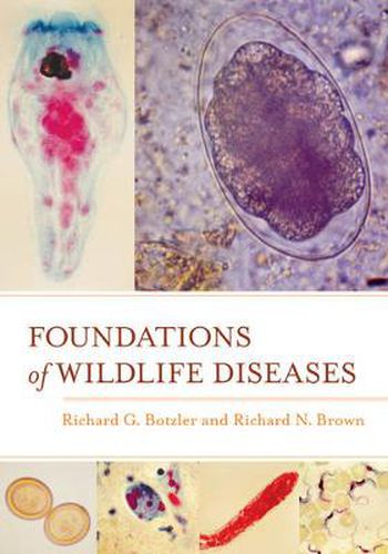 Cover image for Foundations of Wildlife Diseases