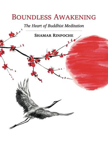 Cover image for Boundless Awakening: The Heart of Buddhist Meditation