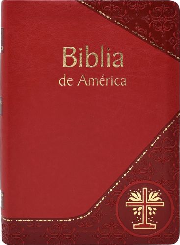 Cover image for Biblia de America