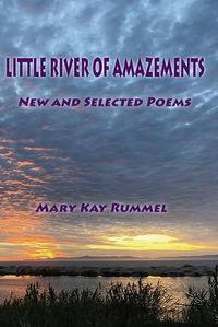 Cover image for Little River of Amazements