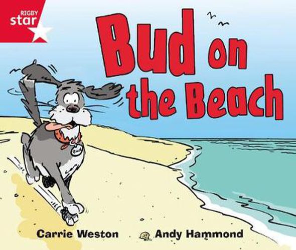 Cover image for Rigby Star Guided Phonic Opportunity Readers Red: Bud On The Beach