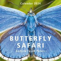 Cover image for Butterfly Safari Calendar 2024