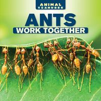 Cover image for Ants Work Together