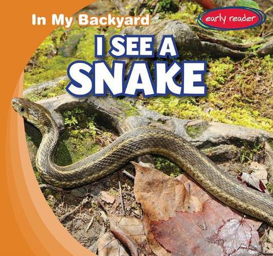 Cover image for I See a Snake