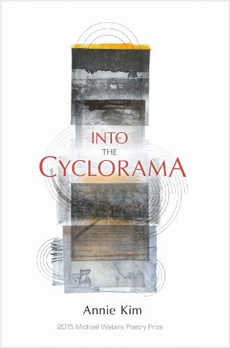 Cover image for Into the Cyclorama