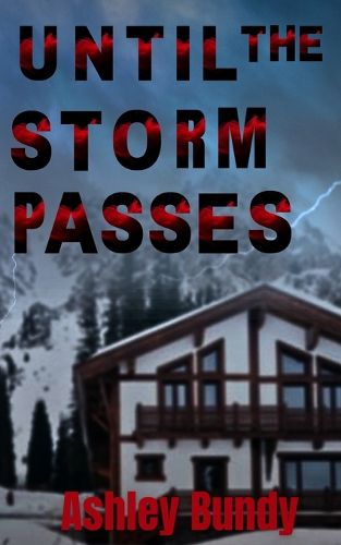 Cover image for Until the Storm Passes