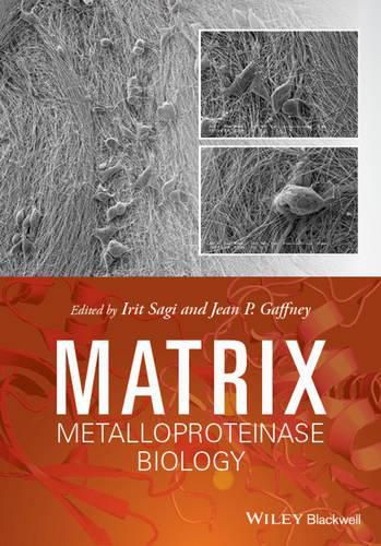 Cover image for Matrix Metalloproteinase Biology