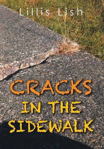 Cover image for Cracks in the Sidewalk