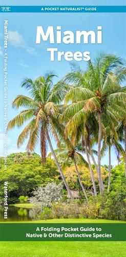 Cover image for Miami Trees: A Folding Pocket Guide to Familiar Plants
