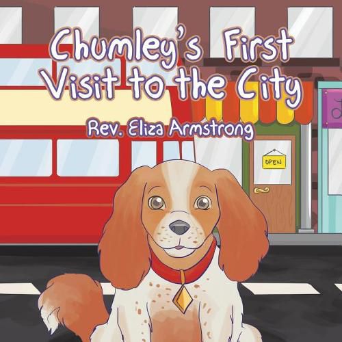 Cover image for Chumley's First Visit to the City