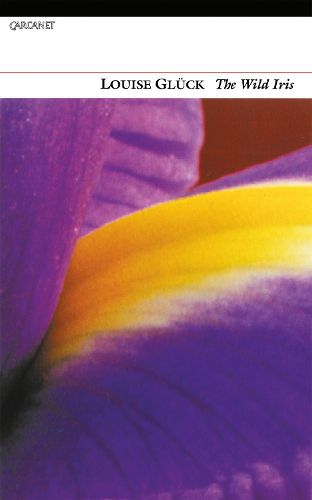 Cover image for Wild Iris