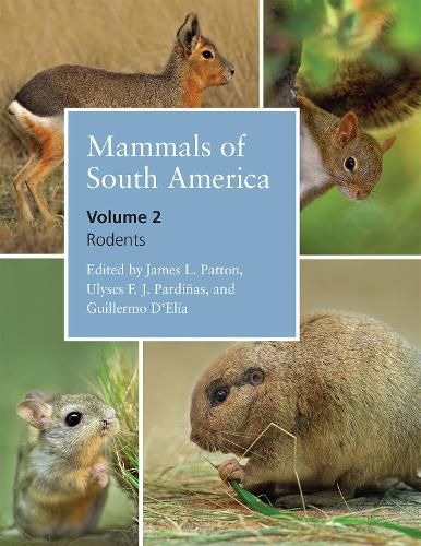 Cover image for Mammals of South America, Volume 2