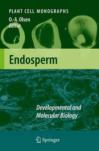 Cover image for Endosperm: Developmental and Molecular Biology