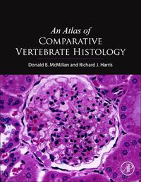 Cover image for An Atlas of Comparative Vertebrate Histology