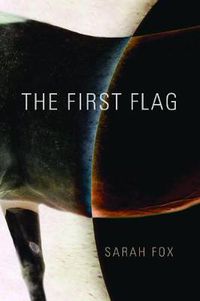 Cover image for The First Flag