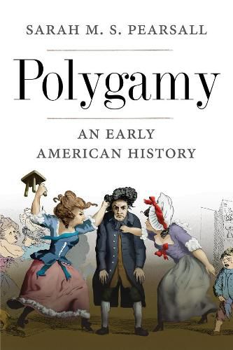 Cover image for Polygamy: An Early American History