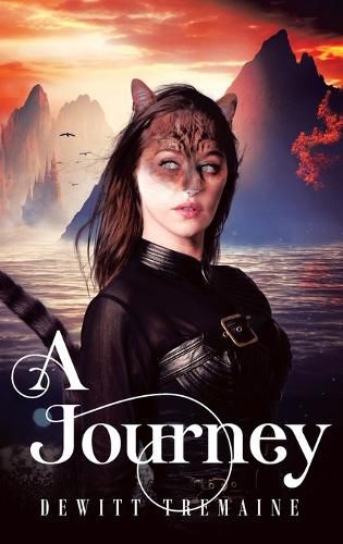 Cover image for A Journey