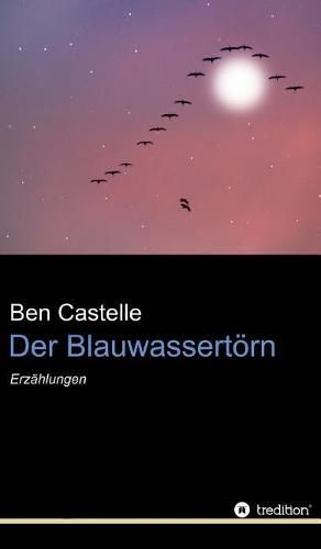 Cover image for Der Blauwassertoern