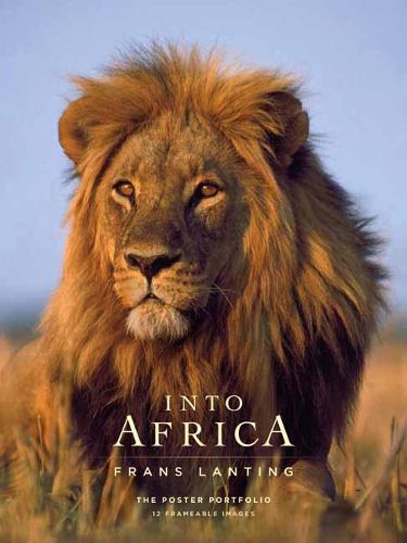 Cover image for Into Africa: The Poster Portfolio: 12 Frameable Images