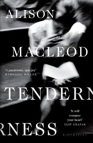Cover image for Tenderness