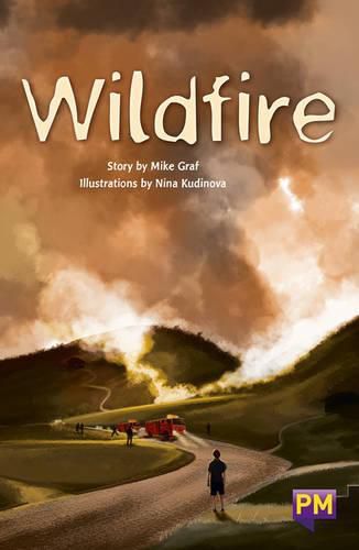 Cover image for Wildfire!