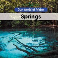 Cover image for Springs