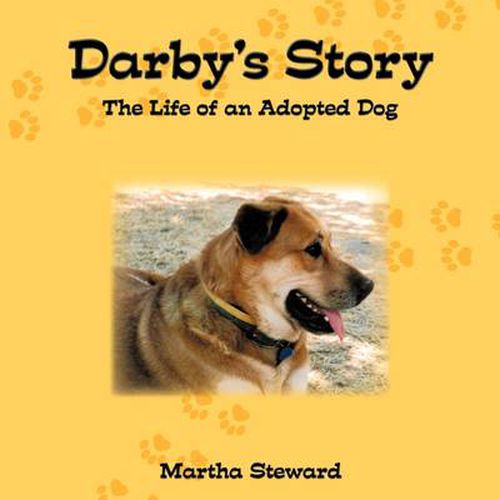 Cover image for Darby's Story