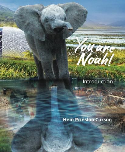 Cover image for You are Noah!: Introduction