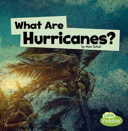 Cover image for What are Hurricanes? (Wicked Weather)