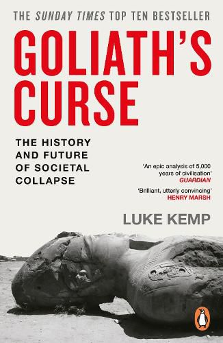 Cover image for Goliath's Curse
