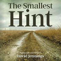 Cover image for The Smallest Hint