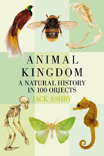 Cover image for Animal Kingdom: A Natural History in 100 Objects