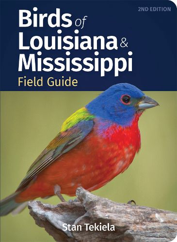 Birds of Louisiana & Mississippi Field Guide