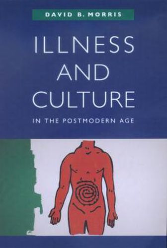 Cover image for Illness and Culture in the Postmodern Age