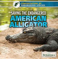 Cover image for Saving the Endangered American Alligator