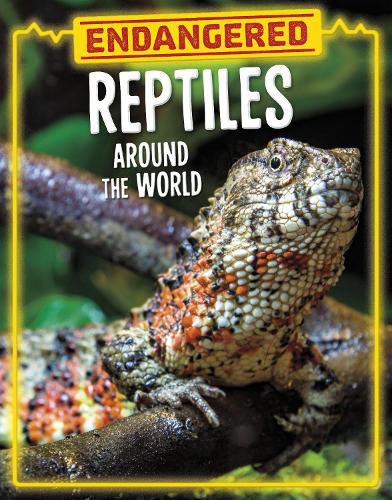 Cover image for Endangered Reptiles Around the World