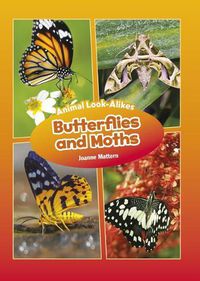 Cover image for Butterfly or Moth?: Animal Look-Alikes