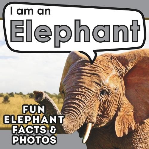 Cover image for I am an Elephant