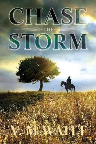 Cover image for Chase the Storm