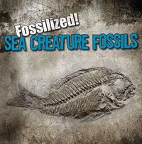 Cover image for Sea Creature Fossils