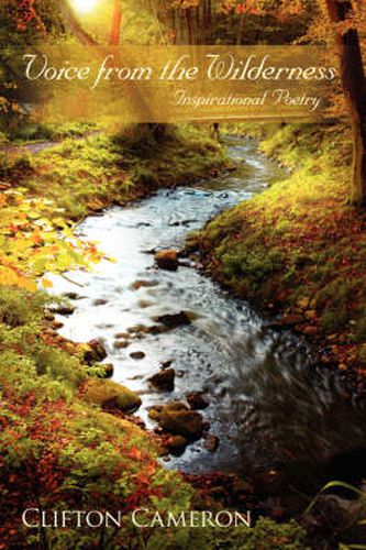 Cover image for Voice from the Wilderness