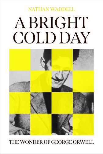 Cover image for A Bright Cold Day