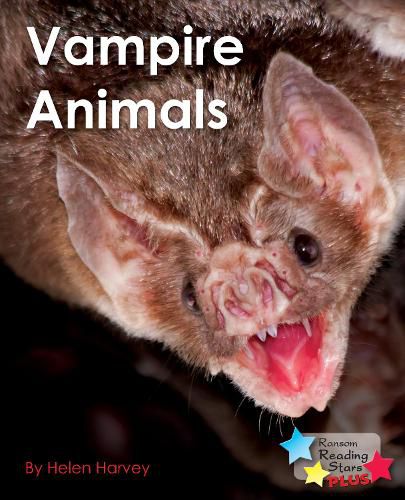 Cover image for Vampire Animals