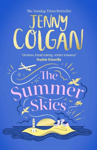 Cover image for The Summer Skies