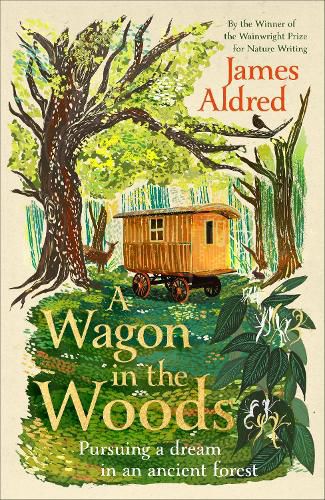 Cover image for A Wagon in the Woods