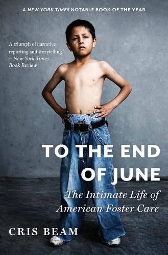 Cover image for To the End of June: The Intimate Life of American Foster Care