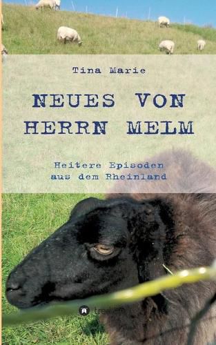 Cover image for Neues von Herrn Melm: Heitere Episoden aus dem Rheinland