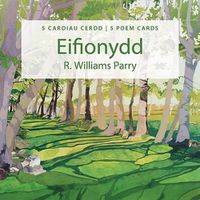 Cover image for Pecyn Cardiau Cerdd Eifionydd/Eifionydd Poem Cards Pack