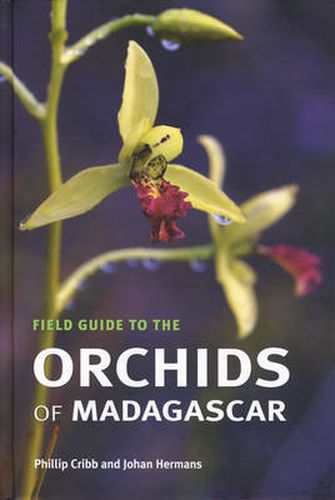 Cover image for Field Guide to the Orchids of Madagascar